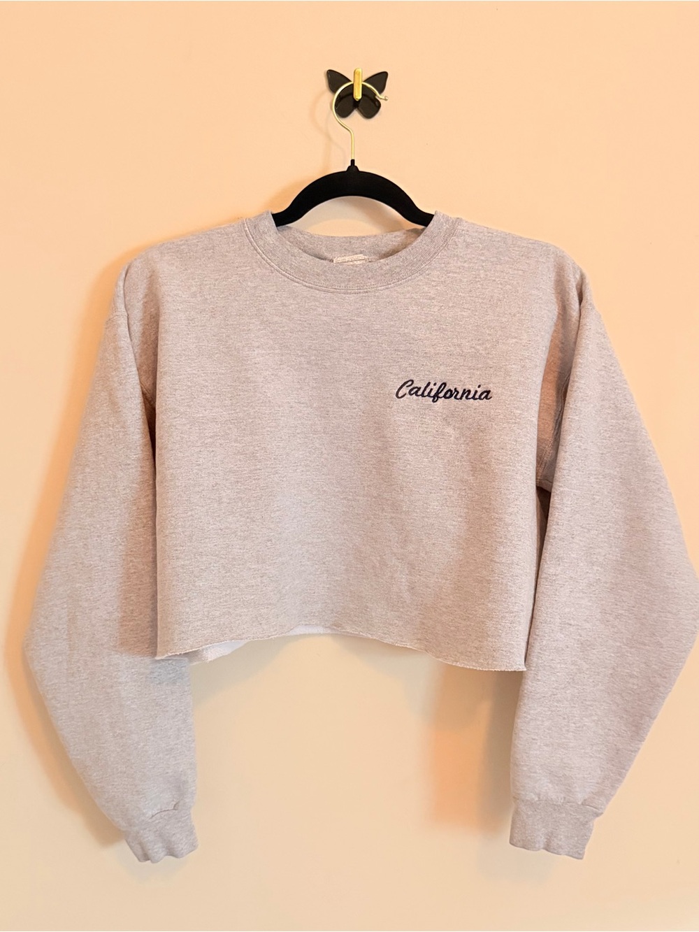 John Galt / Brandy Melville Gray California Cropped Crew Neck Sweatshirt